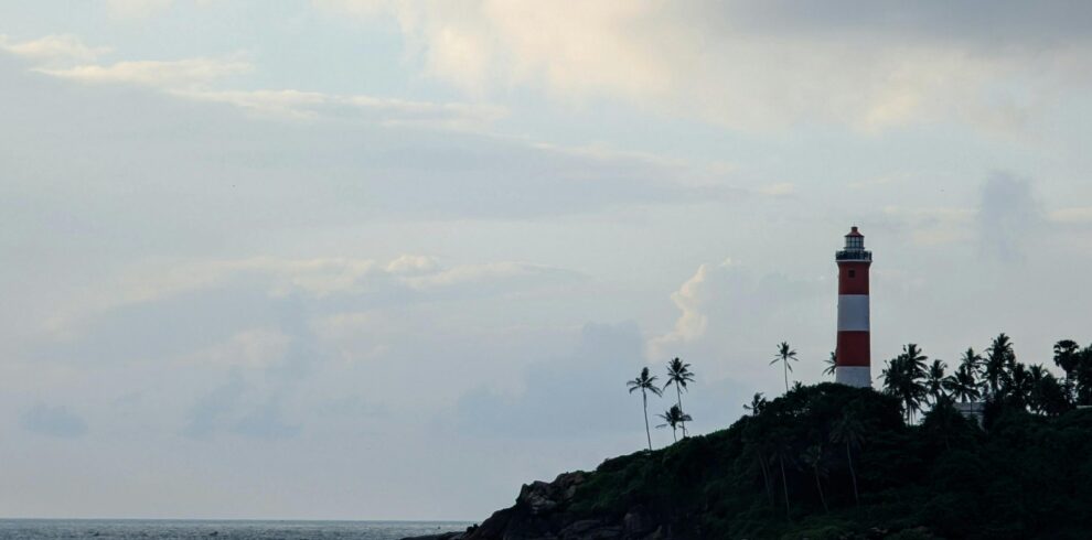 pexels-sahil-ibn-sarafudeen-28992630